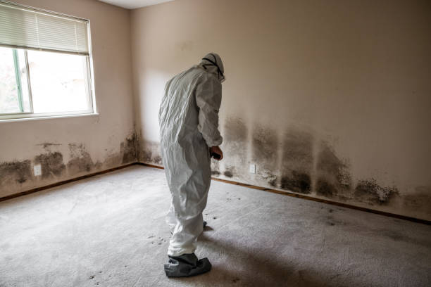 Best Biohazard Mold Removal  in Stone Ridge, NY